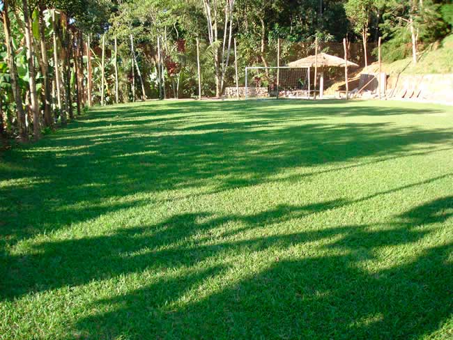 campo