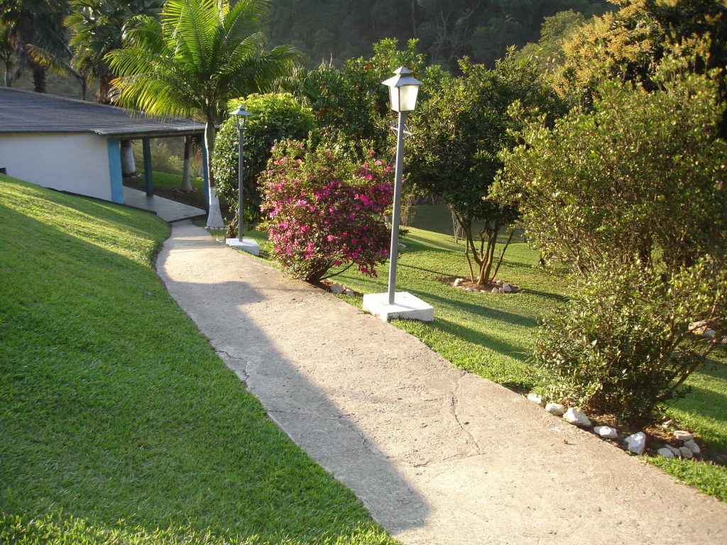 flores 